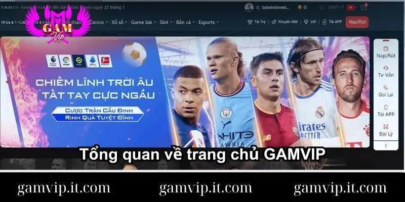 tong-quan-ve-trang-chu-gamvip