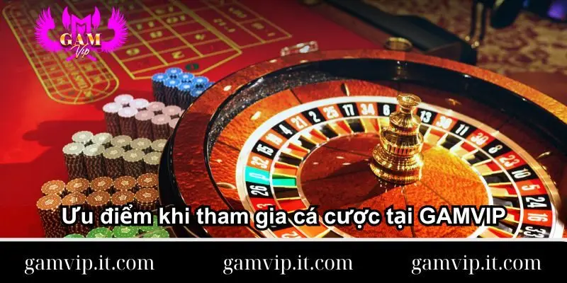 uu-diem-khi-tham-gia-ca-cuoc-tai-gamvip